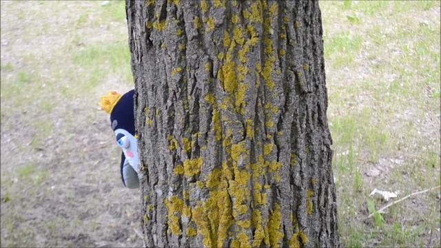 Пингвин ЭНик в лесу / Penguin in the forest / masterskayaen.com смотреть онлайн