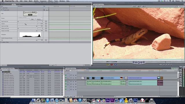 Luma Levels Tutorial - Dashwood Editor Essentials