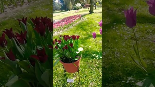 11 июня 2022 г. смотреть онлайн