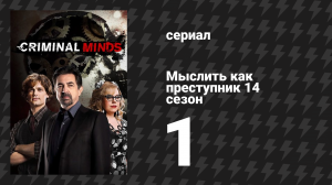 Мыслить как преступник 14 сезон 1 серия «Трёхсотый» (сериал, 2005-2020)