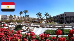 #33 Краткий обзор Steigenberger Resort Ras Soma 5*. Обед в отеле. Хургада. Февраль 2025
