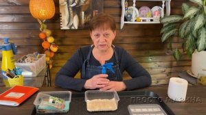 Как правильно прорастить семена перца.