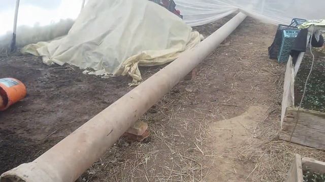 Пикируем буряк и цветну. смотреть онлайн