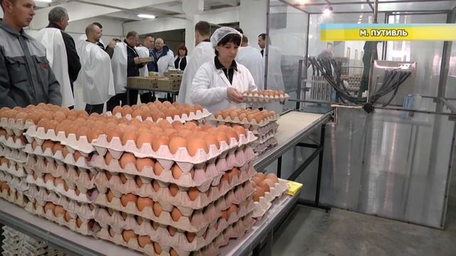 2 мільйона яєць та безвідходне виробництво: птахофабрика у Путивлі смотреть онлайн
