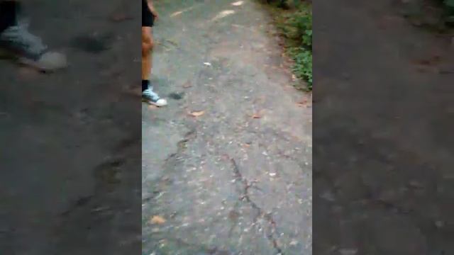 Ждал ждал и не дождался смотреть онлайн