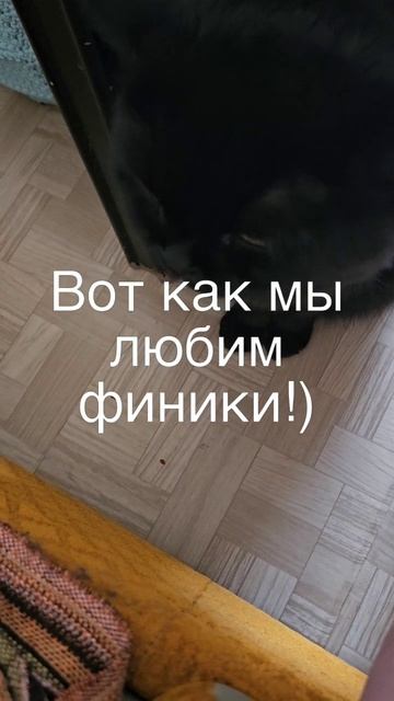 Вот как мы любим финики!)