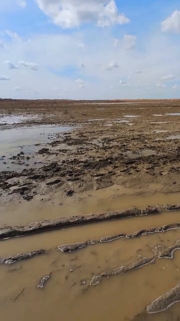 В дельте реки Каратал. Балхаш. смотреть онлайн