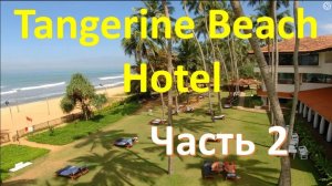 Обзор отеля TANGERINE BEACH 4* (Шри Ланка) - Часть 2. Океан, пляж, бассейн