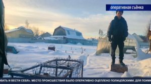 Осторожно, хищник! @ ТРК "Первый Советский", январь, 2025