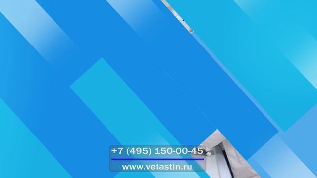 ТРАНСМЕДИА - Ветеринарная клиники Астин