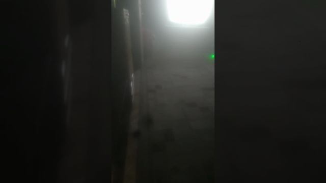 Кошачий лазер смотреть онлайн