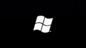 Windows Vista beta 1 animation
