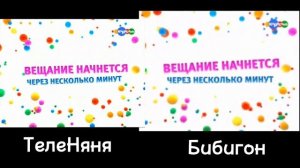 Эфир ТелеНяни и Бибигона во время конца вещания 27.12.2010