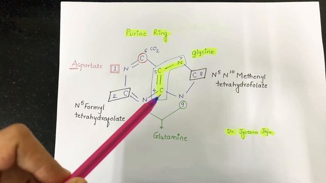 #purine and #pyrimidine ring structure смотреть онлайн