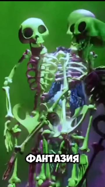 Отвечаю на самый популярный вопрос смотреть онлайн