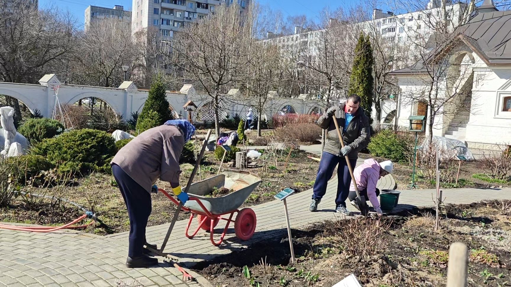 Важные работы в саду ранней весной.
3 апреля 2025г.