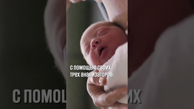 Не носи на руках - привыкнет смотреть онлайн