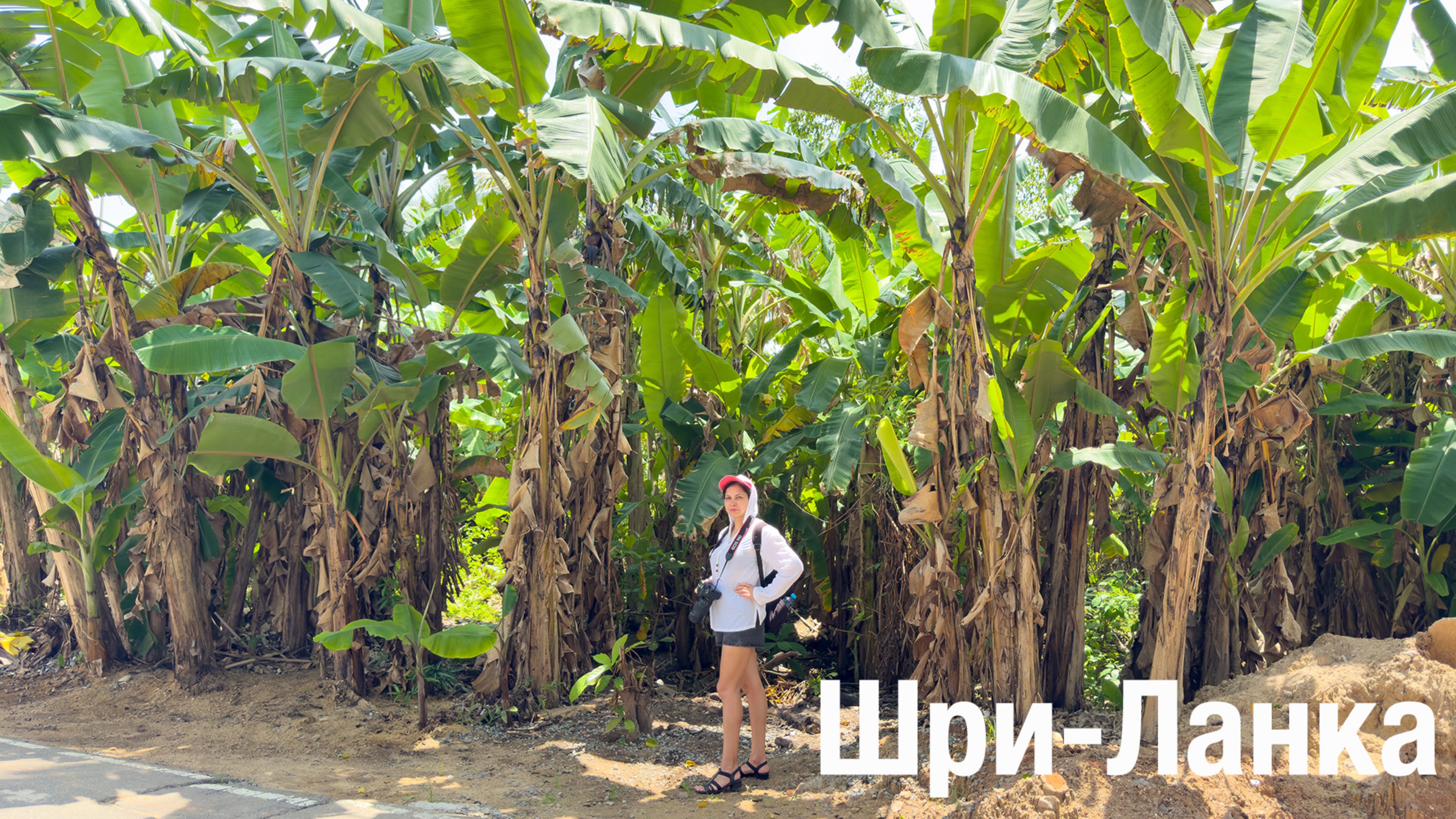 Шри-Ланка (часть 2) город Матара