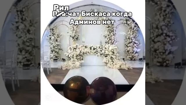 Рил : чат Бискаса когда нет админов смотреть онлайн