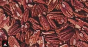 ... Как выращивают и обрабатывают орех Пекан .....