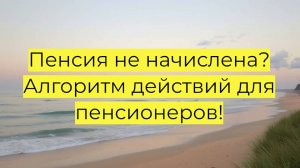 Что делать, если пенсия не пришла вовремя? Как подать жалобу в СФР и получить выплаты без задержек