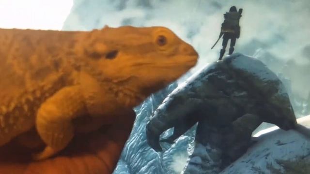 Real footage of a dragon (NOT CLICKBATE) смотреть онлайн
