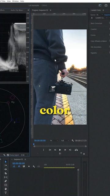 How to use LUTS in PREMIERE PRO... #shorts смотреть онлайн
