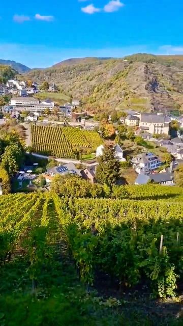 Majestic Mosel Valley views be like #supraash #viral #shorts #travel #germany #mosel #cochem #castl смотреть онлайн