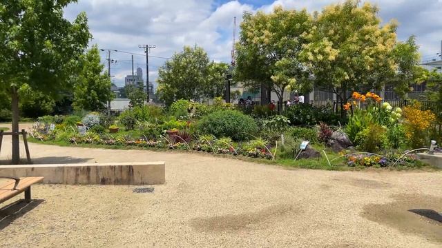 【4K】Walking from Toji Temple to Umekoji Park and around Kyoto Station | Kyoto, JAPAN 2022 смотреть онлайн
