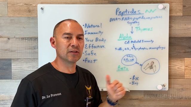 What are Peptides? смотреть онлайн