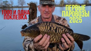 ЭТУ РЫБАЛКУ НЕ МОЖЕТ ОБЪЯСНИТЬ НАУКА