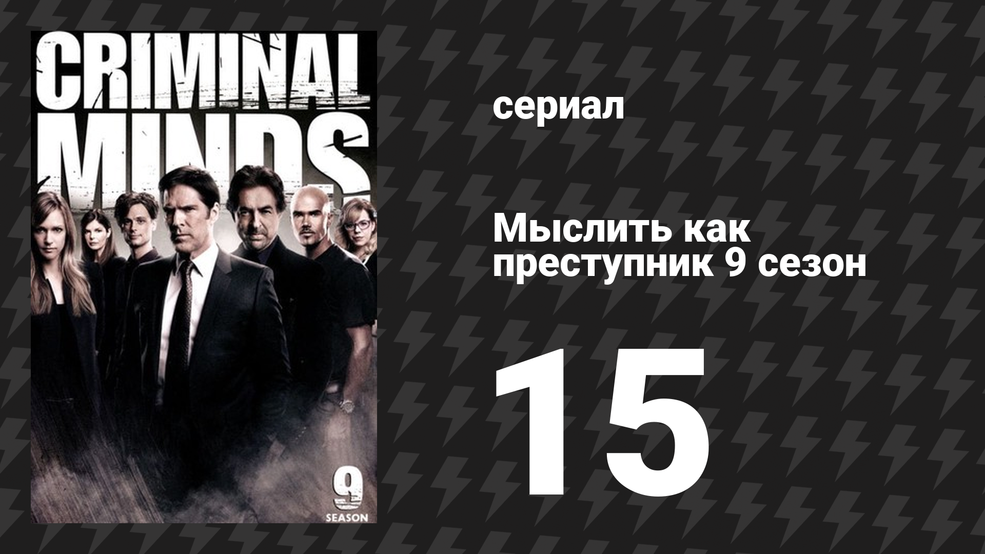Мыслить как преступник 9 сезон 15 серия «Мистер и миссис Андерсон» (сериал, 2005-2020)