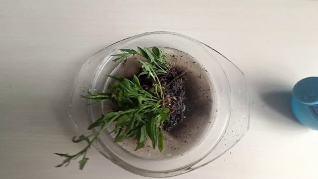 Эрозия дождя - что делает дождь с рельефом? смотреть онлайн