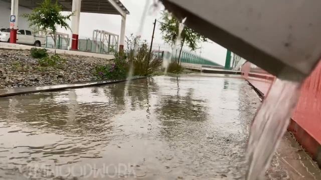 С-Шады 13.05.2020 смотреть онлайн