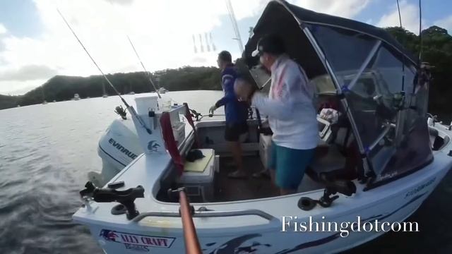 Mercury Splash Cowl Cover. Pressie from my big bro. Genuine for my Merry Fisher 695 смотреть онлайн