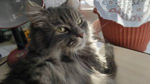 Продвижение процессов. Вышивальная неделя с 16 по 21 февраля.