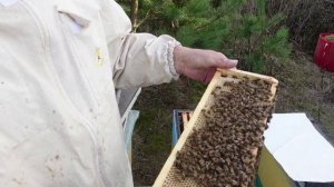 результат постановки магазинов и первый мед !!!!