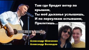 «Я тебя не буду искать» (А.Шевченко) - исп.Александр Волкодав #александрволкодав #александршевченко