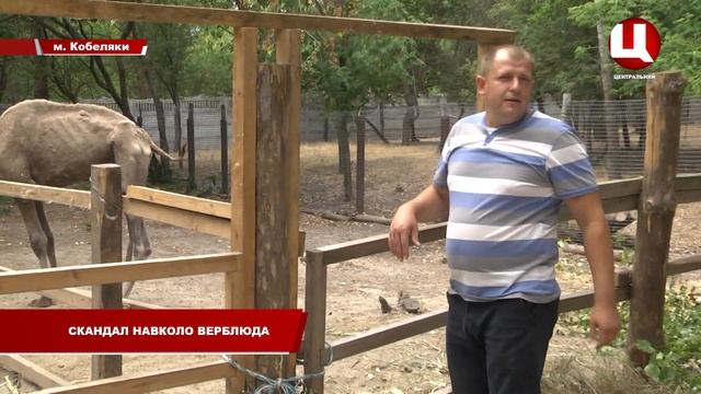 Люди – проти неналежного утримання верблюда смотреть онлайн