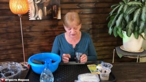 Рассада цветной капусты. Посев семян.