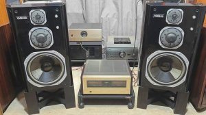 Accuphase P-500 & Yamaha ns-2000