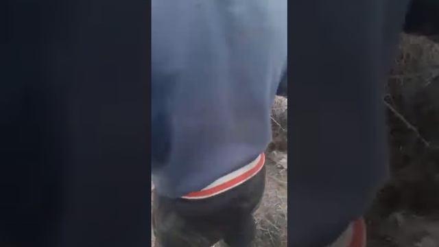 Спасение мальчика из реки смотреть онлайн