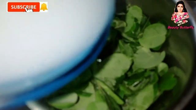 How To Use Moringa Leaves For Hair Growth Malayalam💕Prevent Dandruff&Hair Fall💕MORINGA Leaf for Hai смотреть онлайн