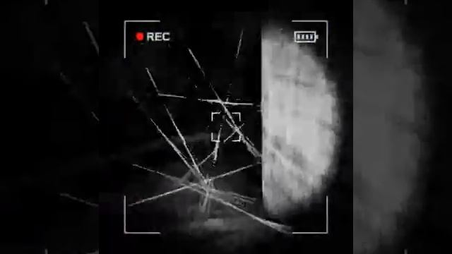 SPIDER JUMPED ME (Content Warning) смотреть онлайн