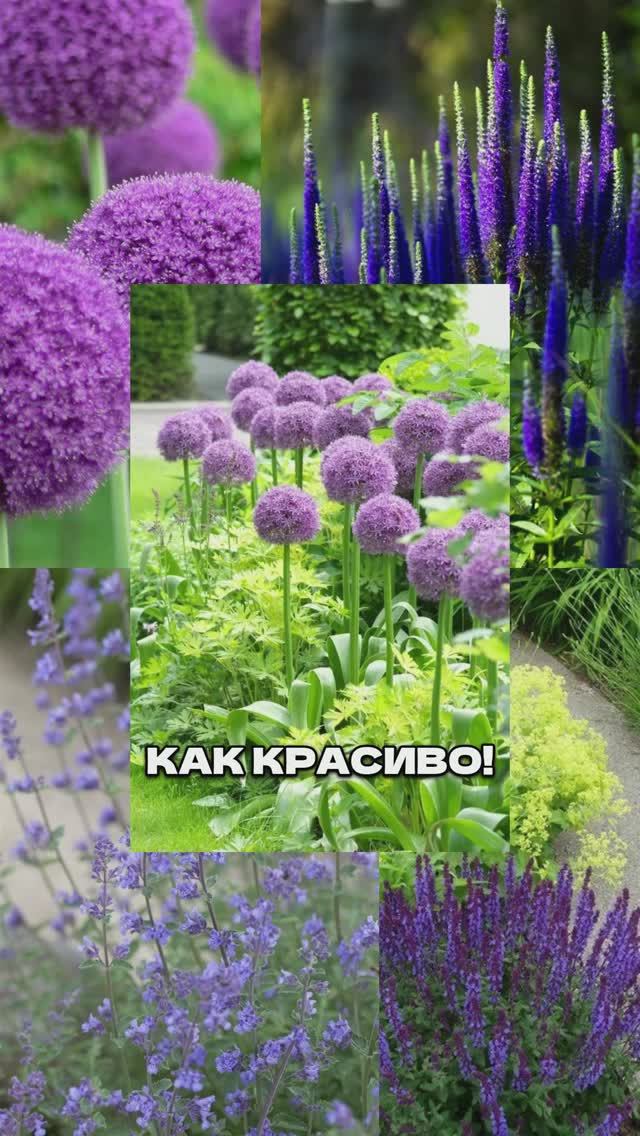 Посадила Так - Соседи В Шоке! смотреть онлайн