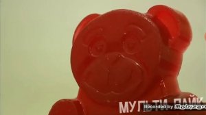 Желейный медведь Валера паёт между нами тает жир