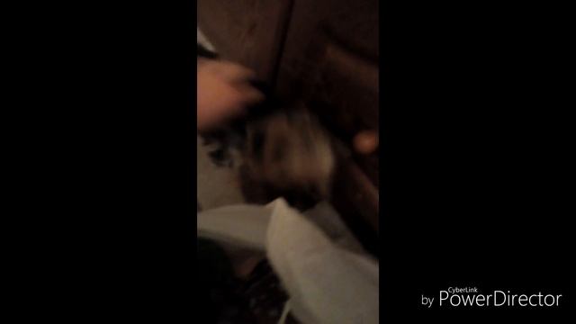 2 пса это АААААААДДД смотреть онлайн