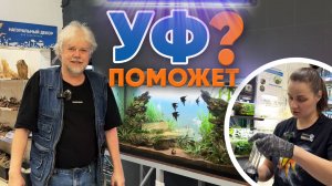 Аквариумные новости с Владимиром Ковалёвым (04.04.2025). УФ поможет?