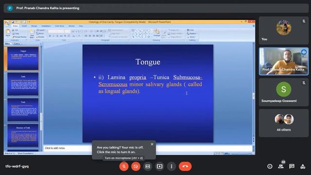 histology by dr pc kalita( tongue,teeth etc) смотреть онлайн