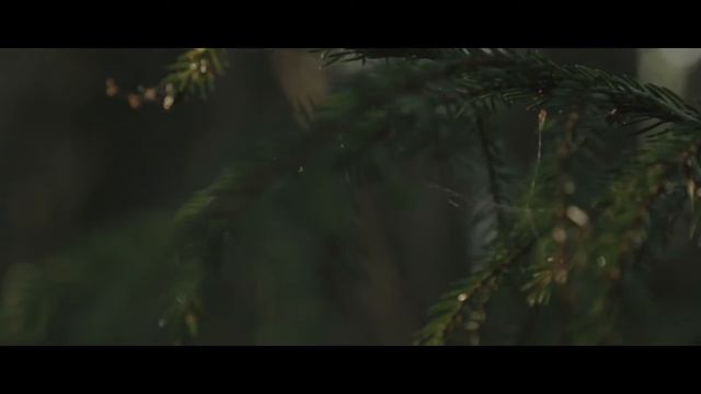 Белый шум смотреть онлайн